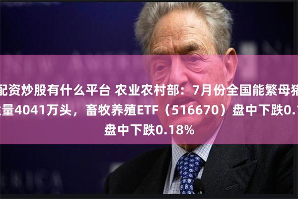 配资炒股有什么平台 农业农村部：7月份全国能繁母猪存栏量4041万头，畜牧养殖ETF（516670）盘中下跌0.18%