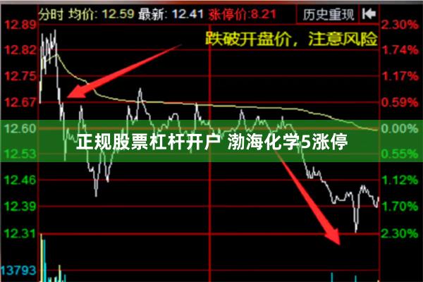 正规股票杠杆开户 渤海化学5涨停