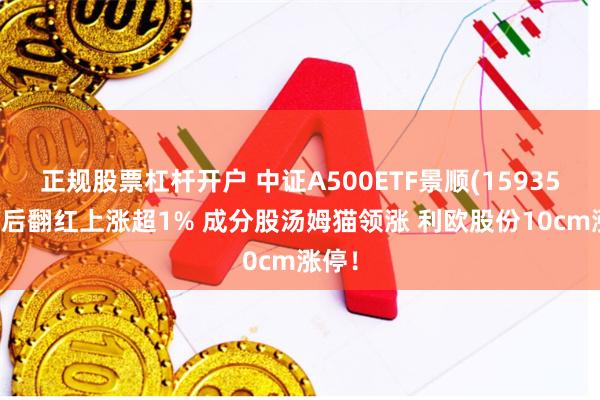 正规股票杠杆开户 中证A500ETF景顺(159353)午后翻红上涨超1% 成分股汤姆猫领涨 利欧股份10cm涨停！