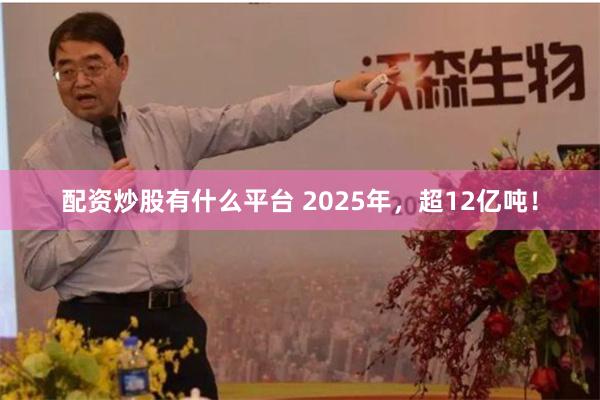 配资炒股有什么平台 2025年，超12亿吨！