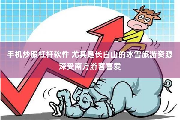 手机炒股杠杆软件 尤其是长白山的冰雪旅游资源深受南方游客喜爱