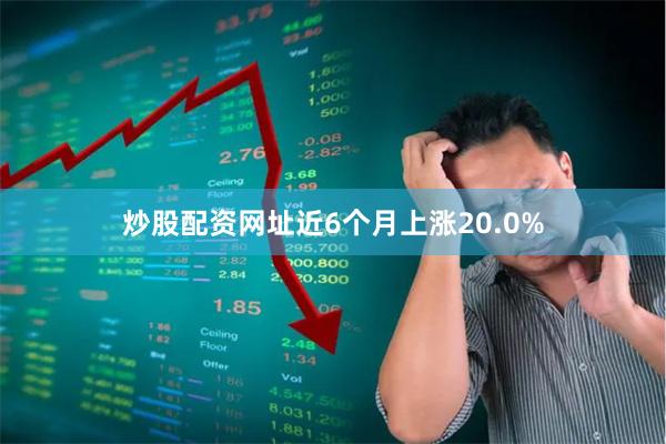 炒股配资网址近6个月上涨20.0%