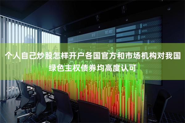 个人自己炒股怎样开户各国官方和市场机构对我国绿色主权债券均高